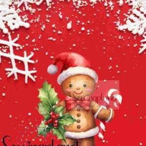 Panela december 15