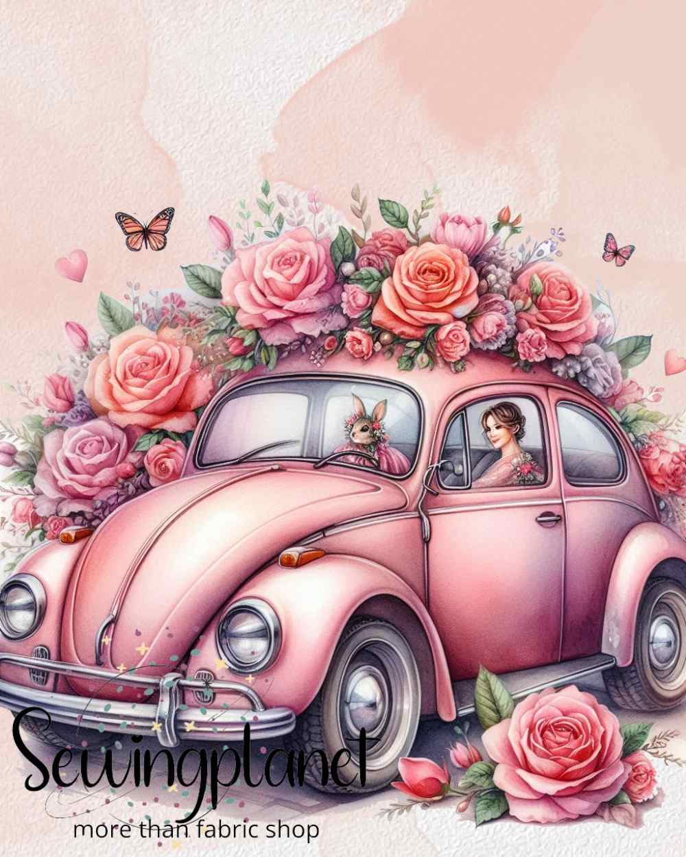 Panela vw hrosc 2