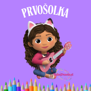 Panela šola 20