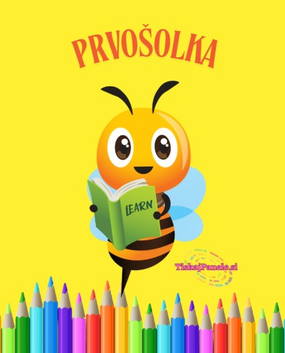 Panela šola 22