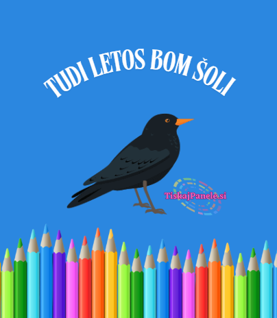 Panela šola 24