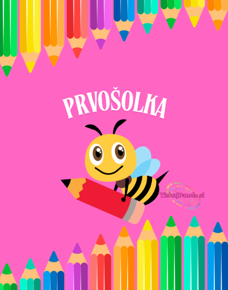 Panela šola 28