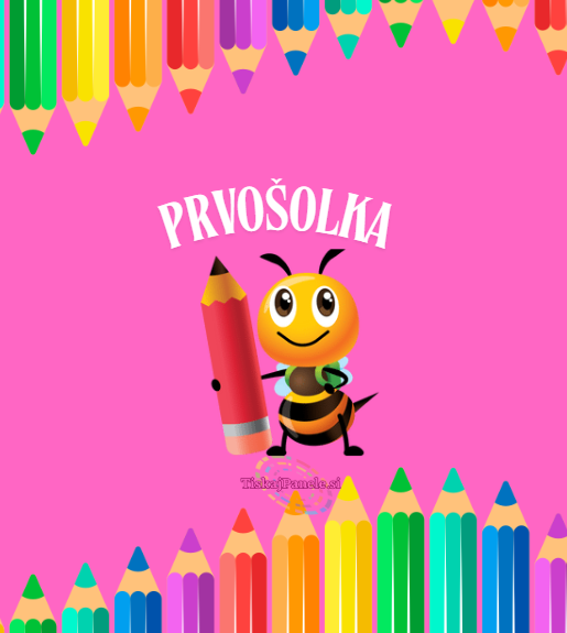 Panela šola 29
