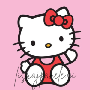 Panela Hello Kitty 03