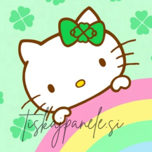 Panela Hello Kitty 08